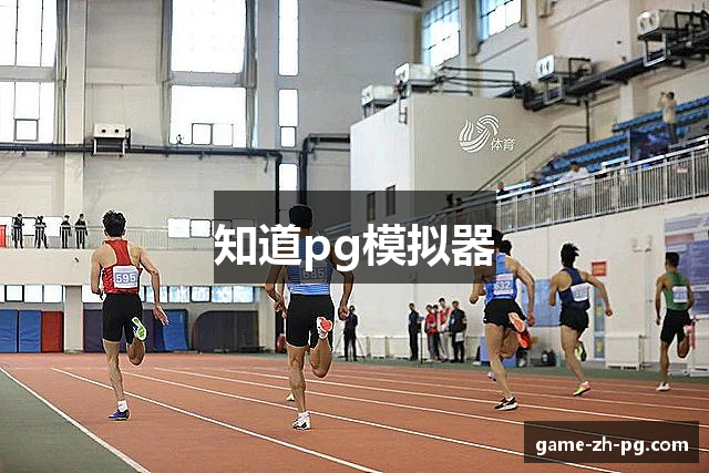 知道pg模拟器